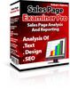 Thumbnail Sales page examiner with mrr